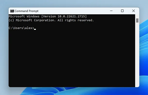 Windows CMD terminal